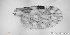  ( - TPI:ENT:#0000197)  @12 [ ] Copyright (2014) Lara E. Harrup The Pirbright Institute, Ash Road, Pirbright, Woking, Surrey, GU240NF, UK