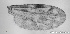  ( - TPI:ENT:#0000206)  @12 [ ] Copyright (2014) Lara E. Harrup The Pirbright Institute, Ash Road, Pirbright, Woking, Surrey, GU240NF, UK
