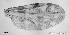  ( - TPI:ENT:#0000209)  @12 [ ] Copyright (2014) Lara E. Harrup The Pirbright Institute, Ash Road, Pirbright, Woking, Surrey, GU240NF, UK