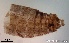 ( - TPI:ENT:#0000210)  @12 [ ] Copyright (2014) Lara E. Harrup The Pirbright Institute, Ash Road, Pirbright, Woking, Surrey, GU240NF, UK