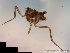  ( - TPI:ENT:#0000210)  @12 [ ] Copyright (2014) Lara E. Harrup The Pirbright Institute, Ash Road, Pirbright, Woking, Surrey, GU240NF, UK