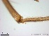  ( - TPI:ENT:#0000214)  @12 [ ] Copyright (2014) Lara E. Harrup The Pirbright Institute, Ash Road, Pirbright, Woking, Surrey, GU240NF, UK