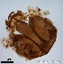  ( - TPI:ENT:#0000214)  @12 [ ] Copyright (2014) Lara E. Harrup The Pirbright Institute, Ash Road, Pirbright, Woking, Surrey, GU240NF, UK