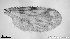  ( - TPI:ENT:#0000214)  @12 [ ] Copyright (2014) Lara E. Harrup The Pirbright Institute, Ash Road, Pirbright, Woking, Surrey, GU240NF, UK