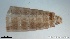 ( - TPI:ENT:#0000215)  @12 [ ] Copyright (2014) Lara E. Harrup The Pirbright Institute, Ash Road, Pirbright, Woking, Surrey, GU240NF, UK