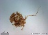  ( - TPI:ENT:#0000215)  @12 [ ] Copyright (2014) Lara E. Harrup The Pirbright Institute, Ash Road, Pirbright, Woking, Surrey, GU240NF, UK
