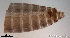  ( - TPI:ENT:#0000217)  @12 [ ] Copyright (2014) Lara E. Harrup The Pirbright Institute, Ash Road, Pirbright, Woking, Surrey, GU240NF, UK