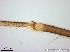  ( - TPI:ENT:#0000217)  @12 [ ] Copyright (2014) Lara E. Harrup The Pirbright Institute, Ash Road, Pirbright, Woking, Surrey, GU240NF, UK