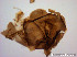  ( - TPI:ENT:#0000217)  @12 [ ] Copyright (2014) Lara E. Harrup The Pirbright Institute, Ash Road, Pirbright, Woking, Surrey, GU240NF, UK