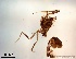 ( - TPI:ENT:#0000218)  @12 [ ] Copyright (2014) Lara E. Harrup The Pirbright Institute, Ash Road, Pirbright, Woking, Surrey, GU240NF, UK