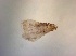  ( - TPI:ENT:#0000517)  @11 [ ] Copyright (2014) Lara E. Harrup The Pirbright Institute, Ash Road, Pirbright, Woking, Surrey, GU240NF, UK