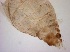 ( - TPI:ENT:#0000519)  @11 [ ] Copyright (2014) Lara E. Harrup The Pirbright Institute, Ash Road, Pirbright, Woking, Surrey, GU240NF, UK