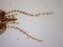  ( - TPI:ENT:#0000519)  @11 [ ] Copyright (2014) Lara E. Harrup The Pirbright Institute, Ash Road, Pirbright, Woking, Surrey, GU240NF, UK