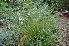  ( - 105_3)  @11 [ ] Unspecified (default): All Rights Reserved  Unspecified Unspecified
