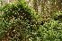  ( - 111_3)  @11 [ ] Unspecified (default): All Rights Reserved  Unspecified Unspecified