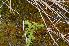  ( - 113 2)  @11 [ ] Unspecified (default): All Rights Reserved  Unspecified Unspecified