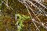  ( - 113 2)  @11 [ ] Copyright (2013) M. Lazarus UG