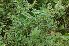  ( - 129_3)  @11 [ ] Unspecified (default): All Rights Reserved  Unspecified Unspecified
