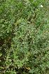  ( - 129_2)  @11 [ ] Unspecified (default): All Rights Reserved  Unspecified Unspecified