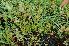  ( - 161 2)  @11 [ ] Unspecified (default): All Rights Reserved  Unspecified Unspecified