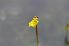  ( - 169_3)  @11 [ ] Unspecified (default): All Rights Reserved  Unspecified Unspecified