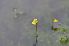  ( - 169_3)  @11 [ ] Unspecified (default): All Rights Reserved  Unspecified Unspecified