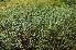  ( - 28_3)  @11 [ ] Unspecified (default): All Rights Reserved  Unspecified Unspecified