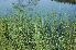  ( - 28_2)  @11 [ ] Unspecified (default): All Rights Reserved  Unspecified Unspecified