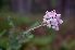  ( - 72_7)  @11 [ ] Unspecified (default): All Rights Reserved  Unspecified Unspecified