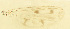  ( - CHAO92)  @12 [ ] Copyright (2018) Chao Song Nankai University