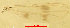  ( - song236)  @12 [ ] Copyright (2018) Chao Song Nankai University