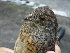  ( - W(R))  @11 [ ] CreativeCommons - Attribution Non-Commercial Share-Alike (2019) Unspecified College of Environmental Studies, National Dong Hwa University