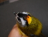  ( - K41629)  @11 [ ] CreativeCommons - Attribution Non-Commercial Share-Alike (2019) Unspecified College of Environmental Studies, National Dong Hwa University