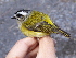 ( - K41682)  @11 [ ] CreativeCommons - Attribution Non-Commercial Share-Alike (2019) Unspecified College of Environmental Studies, National Dong Hwa University