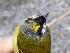  ( - K41682)  @11 [ ] CreativeCommons - Attribution Non-Commercial Share-Alike (2019) Unspecified College of Environmental Studies, National Dong Hwa University