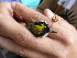  ( - K43001)  @11 [ ] CreativeCommons - Attribution Non-Commercial Share-Alike (2019) Unspecified College of Environmental Studies, National Dong Hwa University