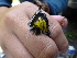  ( - K43006)  @11 [ ] CreativeCommons - Attribution Non-Commercial Share-Alike (2019) Unspecified College of Environmental Studies, National Dong Hwa University