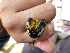  ( - K43008)  @11 [ ] CreativeCommons - Attribution Non-Commercial Share-Alike (2019) Unspecified College of Environmental Studies, National Dong Hwa University