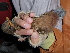  ( - E13252)  @11 [ ] CreativeCommons - Attribution Non-Commercial Share-Alike (2019) Unspecified College of Environmental Studies, National Dong Hwa University