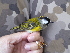  ( - K41629)  @11 [ ] CreativeCommons - Attribution Non-Commercial Share-Alike (2019) Unspecified College of Environmental Studies, National Dong Hwa University