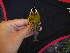  ( - K41688)  @11 [ ] CreativeCommons - Attribution Non-Commercial Share-Alike (2019) Unspecified College of Environmental Studies, National Dong Hwa University