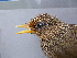  ( - D12191)  @11 [ ] CreativeCommons - Attribution Non-Commercial Share-Alike (2019) Unspecified College of Environmental Studies, National Dong Hwa University