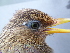  ( - D12191)  @11 [ ] CreativeCommons - Attribution Non-Commercial Share-Alike (2019) Unspecified College of Environmental Studies, National Dong Hwa University