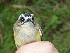  ( - K44451)  @11 [ ] CreativeCommons - Attribution Non-Commercial Share-Alike (2019) Unspecified College of Environmental Studies, National Dong Hwa University