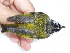  ( - K44453)  @11 [ ] CreativeCommons - Attribution Non-Commercial Share-Alike (2019) Unspecified College of Environmental Studies, National Dong Hwa University