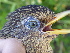  ( - D12198)  @11 [ ] CreativeCommons - Attribution Non-Commercial Share-Alike (2019) Unspecified College of Environmental Studies, National Dong Hwa University