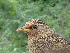  ( - D12235)  @11 [ ] CreativeCommons - Attribution Non-Commercial Share-Alike (2019) Unspecified College of Environmental Studies, National Dong Hwa University