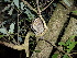  ( - E00757)  @11 [ ] CreativeCommons - Attribution Non-Commercial Share-Alike (2019) Unspecified College of Environmental Studies, National Dong Hwa University