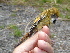  ( - K44899)  @11 [ ] CreativeCommons - Attribution Non-Commercial Share-Alike (2019) Unspecified College of Environmental Studies, National Dong Hwa University