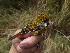  ( - K44909)  @11 [ ] CreativeCommons - Attribution Non-Commercial Share-Alike (2019) Unspecified College of Environmental Studies, National Dong Hwa University